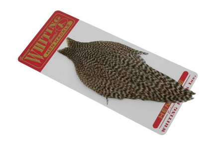 Whiting Hen Cape