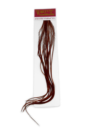 Whiting 100 Saddle Hackle Pack #16 - pióra siodłowe koguta