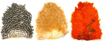 Whiting 4 B's Hen Saddle - siodło kury