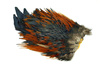 Whiting 4 B's Rooster Saddle