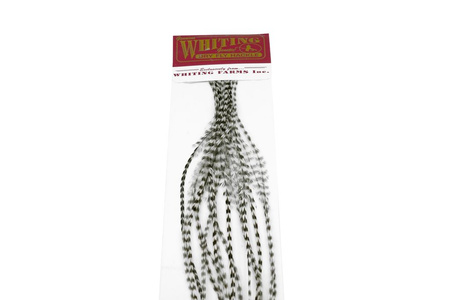Whiting 100 Saddle Hackle Pack #14 - pióra siodłowe koguta