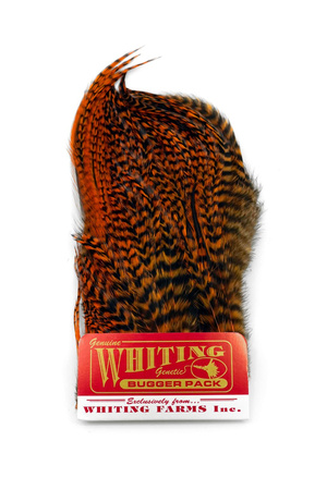 Whiting Bugger Pack 