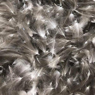 Top Fly CDC Wild Duck 