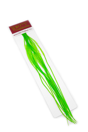 Whiting 100 Saddle Hackle Pack #14 - pióra siodłowe koguta