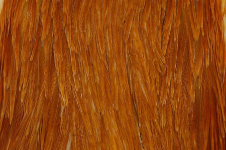Whiting Hebert Hen Cape - kapka kury