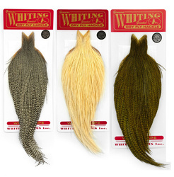 Whiting Silver Cape - kapka koguta silver