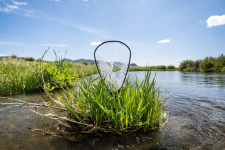 Nomad Canyon Net
