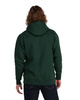 Simms Logo Hoody Forest XL