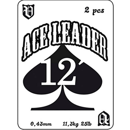 Vision Ace Leader 12' 