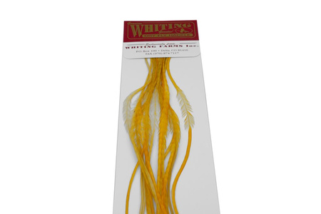 Whiting 100 Saddle Hackle Pack #14 