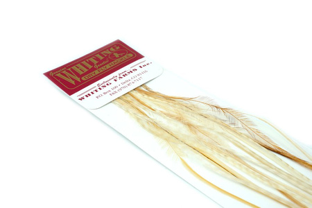 Whiting 100 Saddle Hackle Pack #14 - pióra siodłowe koguta