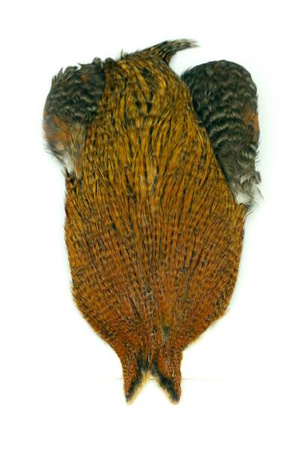 Whiting 4 B's Rooster Cape - kapka koguta