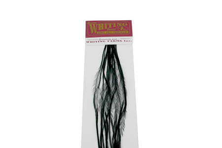 Whiting 100 Saddle Hackle Pack #14 - pióra siodłowe koguta