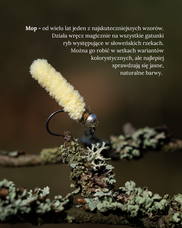 Zestaw much - Słowenia 