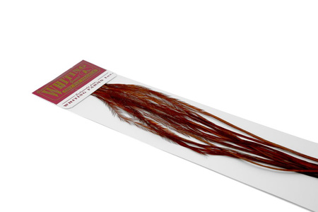 Whiting 100 Saddle Hackle Pack #16 - pióra siodłowe koguta