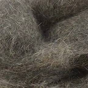 Wapsi Natural Fur Dubbing - dubbing naturalny