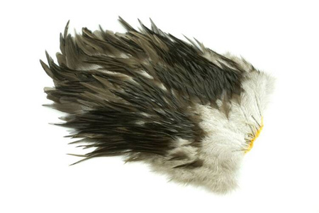Whiting 4 B's Rooster Saddle
