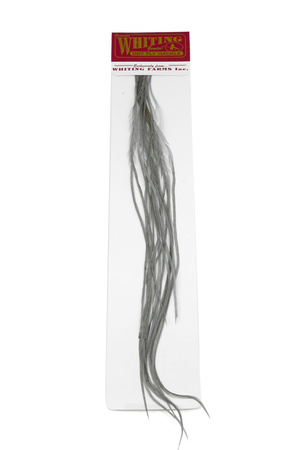 Whiting 100 Saddle Hackle Pack #14 