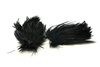 Whiting American Streamer Pack 