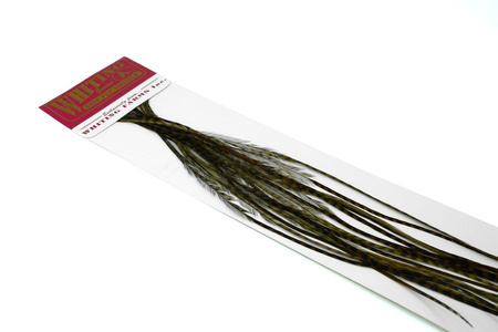 Whiting 100 Saddle Hackle Pack #14