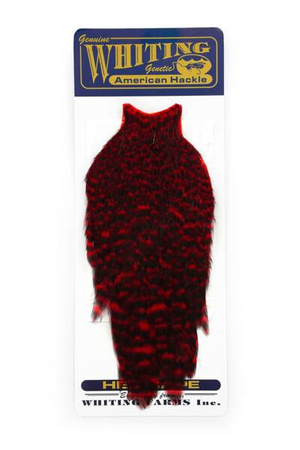 Whiting American Hen Cape - Grizzly dyed Red