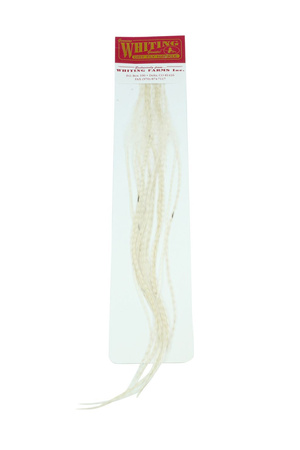 Whiting 100 Saddle Hackle Pack #14 - pióra siodłowe koguta