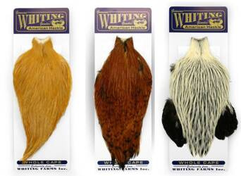 Whiting American Rooster Cape