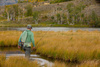 Fishpond South Fork Wader Belt - pas lędzwiowy
