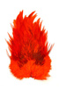 Whiting 4 B's Rooster Saddle