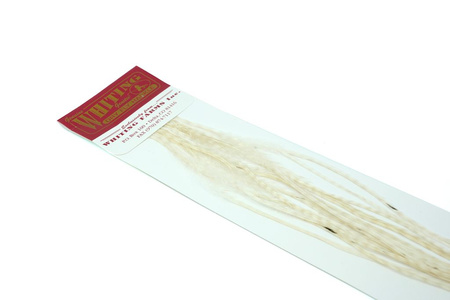Whiting 100 Saddle Hackle Pack #14 - pióra siodłowe koguta