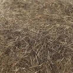 Wapsi Natural Fur Dubbing - dubbing naturalny