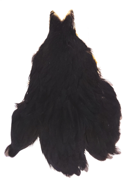 Whiting 4B Hen Cape - Black Czarny | Kategorie \ Materiały Muchowe ...