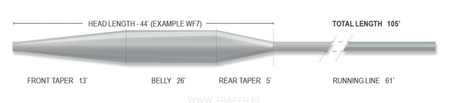 Airflo Sixth Sense Sweep 7ips WF-8-S 